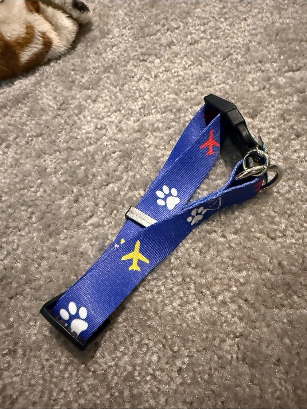Blue Paw-Print Nylon Dog Collar with ID Tag